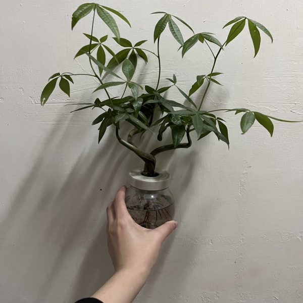 A4
